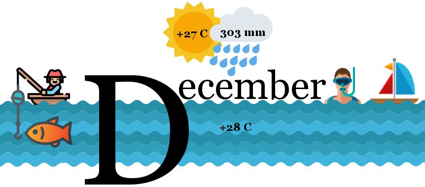 ENG-12-December.Copy.jpg ENG-12-December.Copy.jpg